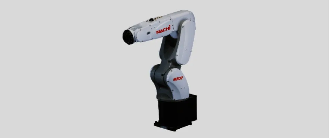 Nashi 207